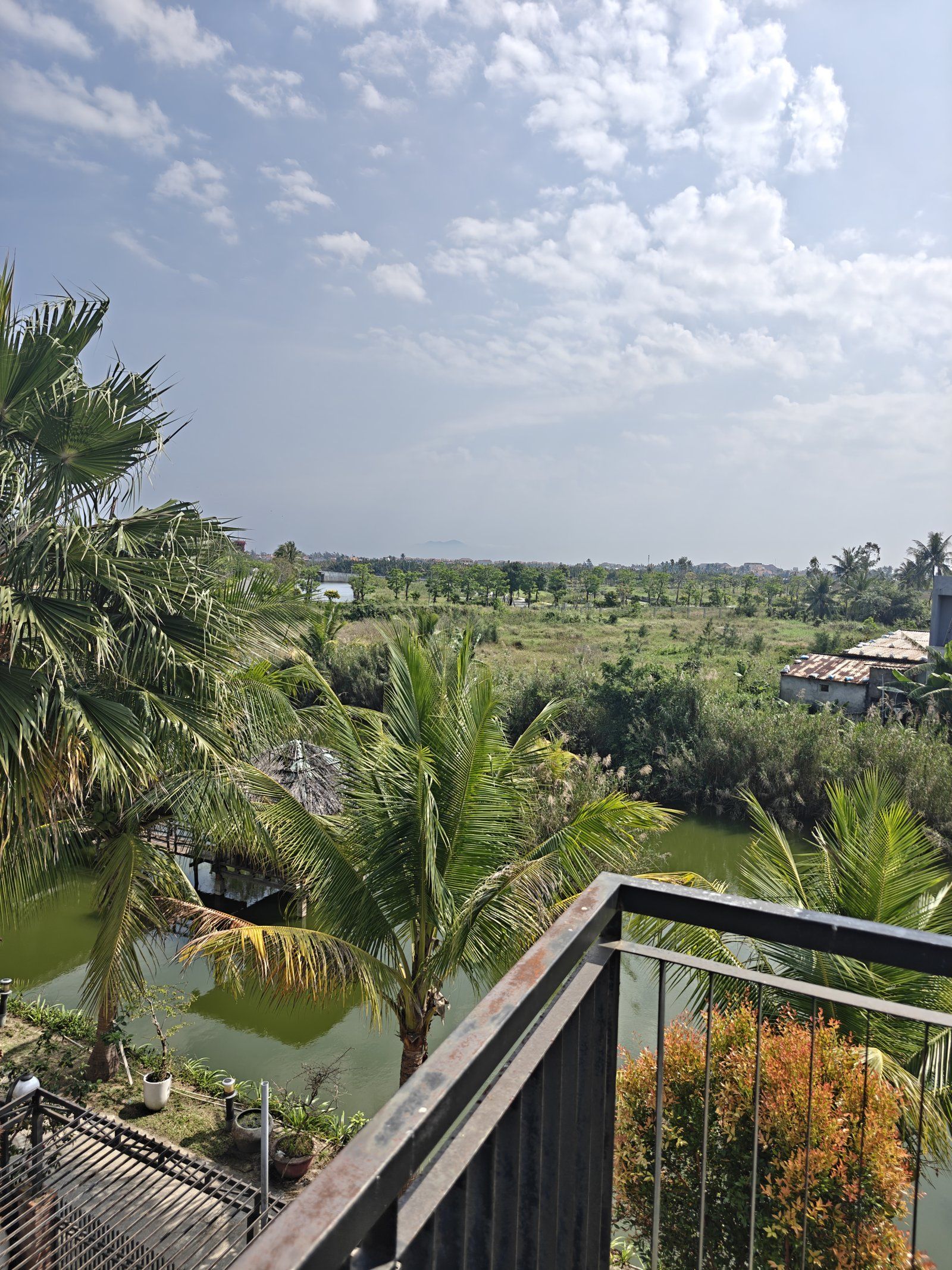 View over the trees and fields